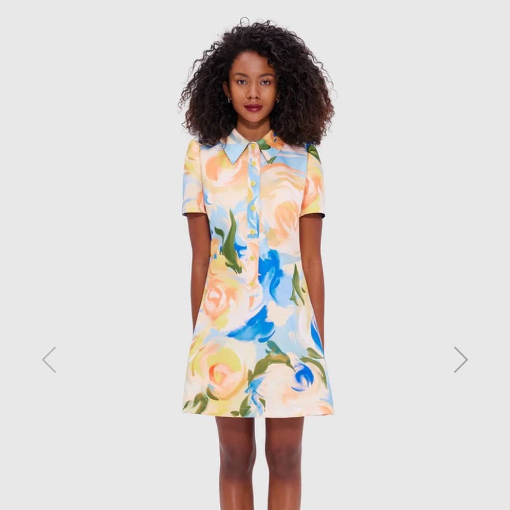 Floral Button-Up Dress Leo Lin size 14